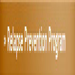 NJ Rehab - Relapse Prevention Program